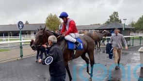Formal seeking final Rockfel success for Stoute