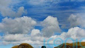 ‘Rollercoaster of emotions’ in year since felling of Sycamore Gap tree