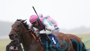 Bluestocking on course to be supplemented for Arc bid