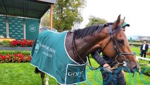 Apples And Bananas hits the jackpot in Goffs Million