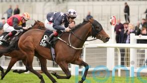 My Mate Alfie too good for Renaissance rivals