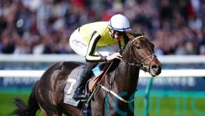 Group Ones await Wimbledon Hawkeye after Royal Lodge triumph
