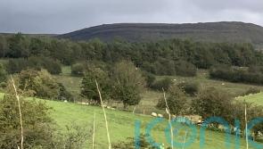 Police name eight-year-old boy shot dead at farm