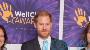 Harry upstaged by boisterous Noah at WellChild awards