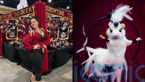 Taxidermist mother-of-two turns rats into ‘sexy showgirls’ with rhinestones, handmade nipple covers and fake eyelashes