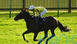 ‘No rush’ for Burdett Road to resume hurdling career