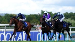 Japanese support growing ahead of Al Riffa’s Arc date
