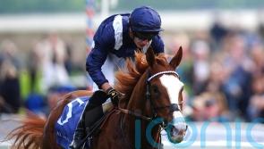 Economics and Charyn headline Champions Day fields