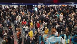 Overcrowding at Euston puts passengers ‘in danger’ – watchdog