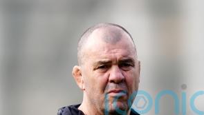 Michael Cheika suspended for disrespecting independent match-day doctor
