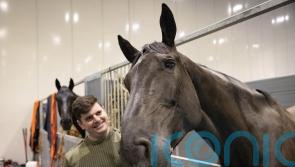 Horse that led Queen’s coffin to lie in state given ‘animals’ OBE’