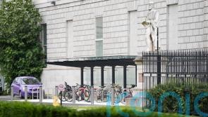 Donohoe ’embarrassed’ by bike shed cost and ‘accepts responsibility’