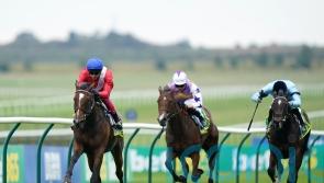 Havlin thrilled to be partnering Inspiral in Chariot race