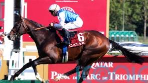Sosie and Aventure bidding to emulate Arc angel Solemia