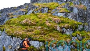 Scientists ‘shocked’ as parts of Antarctica turning green at ‘dramatic’ rate