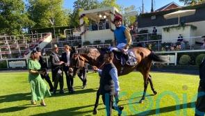 Walker hoping English Oak can leave Ascot rivals trailing