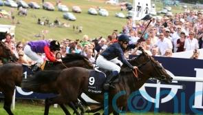 Mickael Barzalona appointed number one rider for the Aga Khan