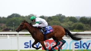 Menuisier Keane on Tamfana Chariot chance