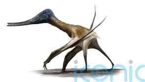 Scientists discover ‘surprising twist’ on how pterosaurs became flying giants