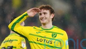 Norwich hit Hull for four in impressive display