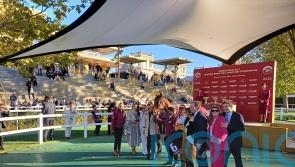 Jayarebe cashes in for Meehan with Dollar success