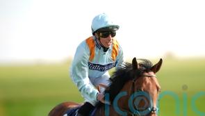 Regal performance from The Dragon King at Newmarket