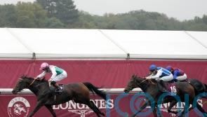 Bluestocking is Arc angel for Beckett in Paris