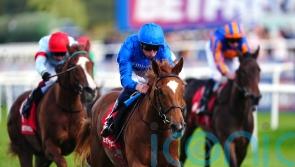 Appleby backing Desert Flower to bloom at Newmarket