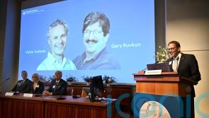 Nobel Prize in medicine honours two Americans over discovery of microRNA