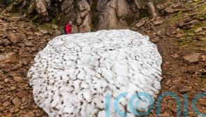 Snow patch deemed ‘barometer for climate change’ melts for fourth year in a row
