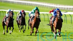 Shadow Of Light supplemented for Dewhurst date