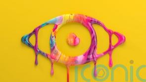 Big Brother contestants battle it out to avoid eviction