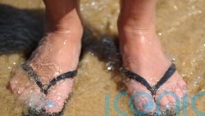 Britons taking record number of holidays &ndash; survey