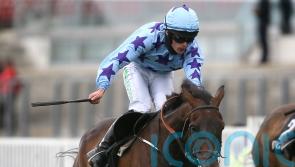 Streets Of Doyen taking Velka Pardubicka challenge