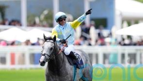 Ascot, then America or Japan for Charyn before retirement