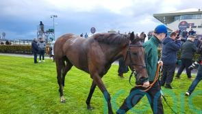 Buddy One makes winning start to life over fences at Galway