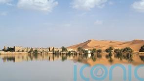 Water gushes through palm trees and sand dunes after rare rain in Sahara Desert
