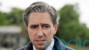 Harris condemns Fine Gael councillor’s remarks