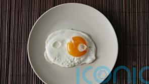 Secret to long and healthy life more down to genes than diet – research
