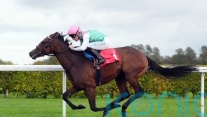 Detain’s dominance puts him into Futurity Trophy equation