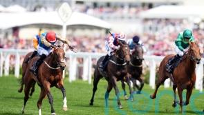 Doyle has choice to make with Wathnan youngsters at Del Mar