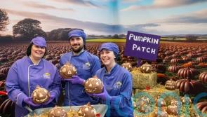 Cadbury World chocolatiers create edible pumpkin patch for Halloween
