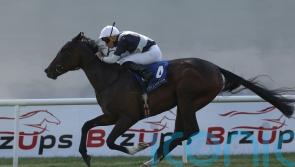 Dreamy opportunity for Marquand at Newmarket
