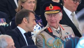 King ‘a real national asset’ in relations with Europe, says ex-top diplomat
