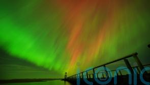 Skygazers treated to Northern Lights show – with more to come, experts say