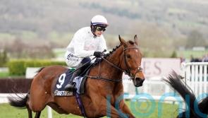 Absurde backed to make his presence felt alongside Vauban in Melbourne