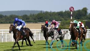 Palmer looking for Wolf Of Badenoch to show true worth