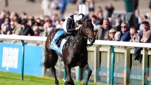 Coto De Caza captures Cornwallis prize for Crisfords