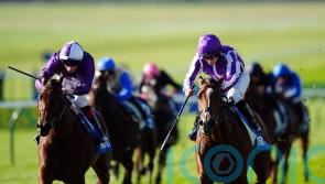 Merrily provides Oh So Sharp cheer for O’Brien