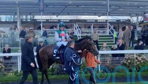 Minstrel Knight provides perfect Finale with York victory